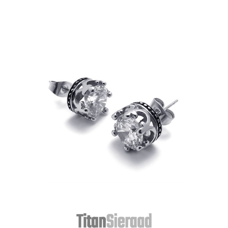 Diamanten Titanium Oorbellen Diamanten Titanium Oorbellen