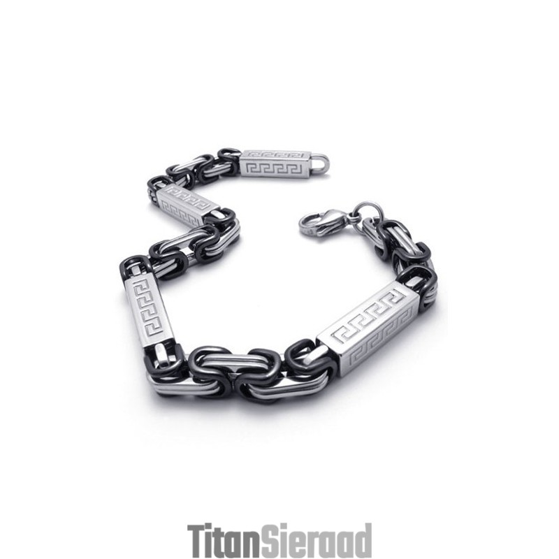 9,1 Inch Titanium Armband