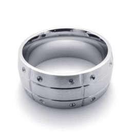 Gepolijste Titanium Ring