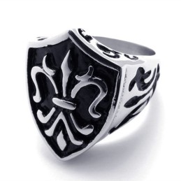 Kroon Titanium Ring