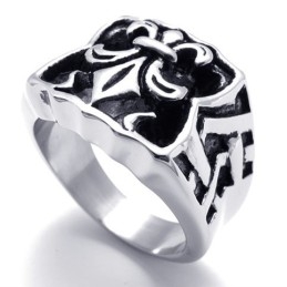 Kroon Titanium Ring