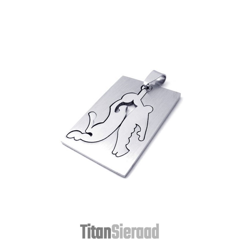 Titanium Basketbalhanger Titanium Basketbalhanger
