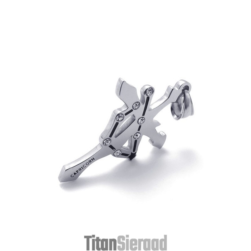 Steenbok Titanium Strass Hanger Steenbok Titanium Strass Hanger