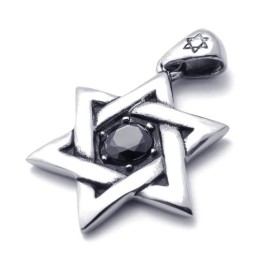 Titanium Geluksster Hanger Met Zwarte Zirkoon