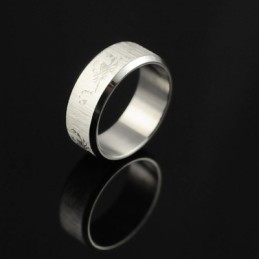 Schorpioen Titanium Ring Voor Heren