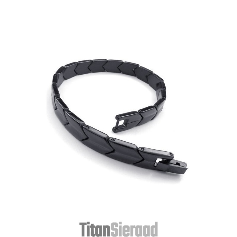 Vakkundige Vervaardiging Delicate Kleuren Uitstekende Kwaliteit Titanium Armband
