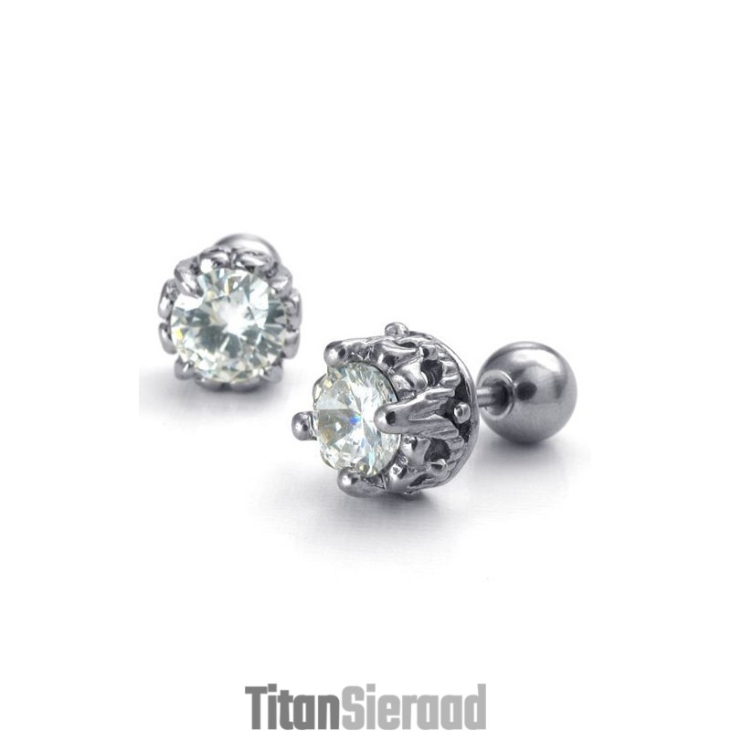 Fijn Bewerkte, Prachtige Kleuren, Betrouwbare Kwaliteit Titanium Oorbellen Fijn Bewerkte, Prachtige Kleuren, Betrouwbare Kwaliteit Titanium Oorbellen