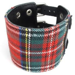 Prachtig Ontwerp, Kleurrijke, Uitstekende Kwaliteit Titanium Leren Armband