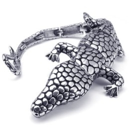 Modern Ontwerp, Kleurbriljantie, Uitstekende Kwaliteit Titanium Armband