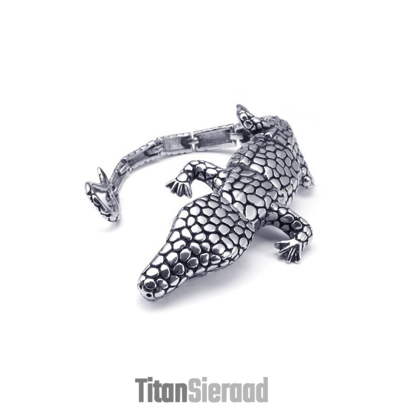 Modern Ontwerp, Kleurbriljantie, Uitstekende Kwaliteit Titanium Armband