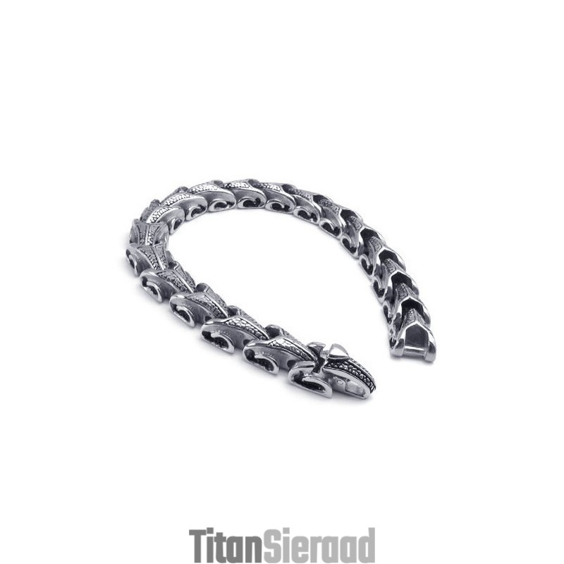 Vakkundige Productie, Schitterende Kleuren, Bekend Om Zijn Hoogwaardige Titanium Armband