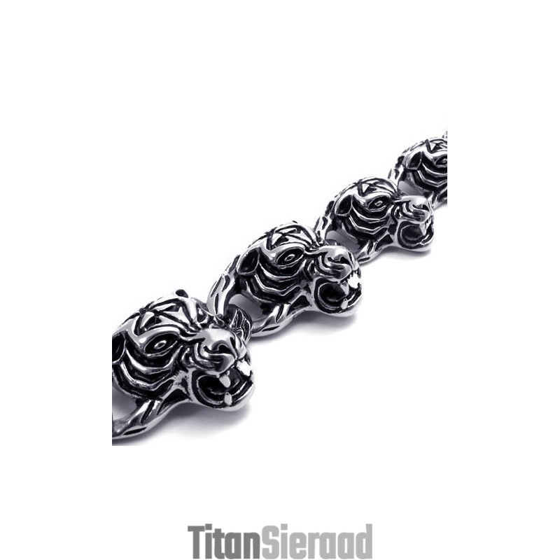 Professioneel Ontwerp, Kleurbriljantie, Wereldwijd Bekende Titanium Armband Professioneel Ontwerp, Kleurbriljantie, Wereldwijd Bekende Titanium Armband