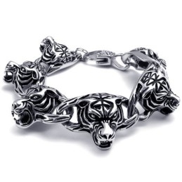 Professioneel Ontwerp, Kleurbriljantie, Wereldwijd Bekende Titanium Armband
