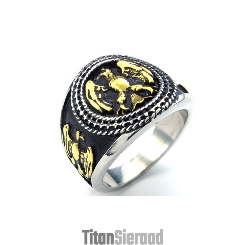 Modern Ontwerp, Kleurbriljantie, Betrouwbare Kwaliteit Titanium Ring