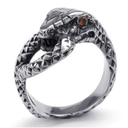 Fijn Bewerkte Kleurbriljantie, Hoogwaardige Titanium Ring