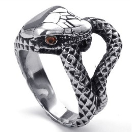 Fijn Bewerkte Kleurbriljantie, Hoogwaardige Titanium Ring