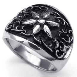 Weelderig Ontwerp, Delicate Kleuren, Betrouwbare Kwaliteit Titanium Ring