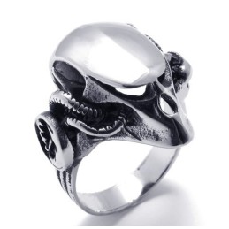 Vakkundige Vervaardiging, Kleurbriljantie, Hoogwaardige Titanium Ring