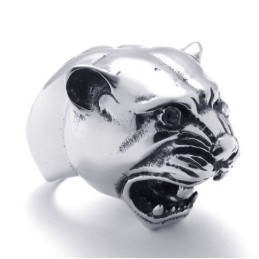 Vakkundige Vervaardiging, Kleurbriljantie, Titanium Ring Van Superieure Kwaliteit