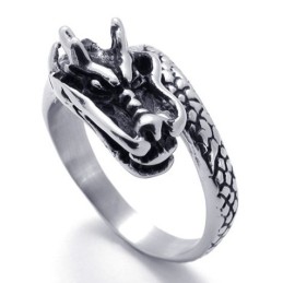 Modern Design, Delicate Kleuren, Stabiele Kwaliteit Titanium Ring