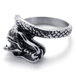 Modern Design, Delicate Kleuren, Stabiele Kwaliteit Titanium Ring