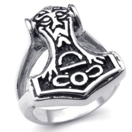 Modern Design, Delicate Kleuren, Superieure Kwaliteit Titanium Ring