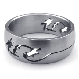 Nieuwste Technologie Kleurbriljantie Stabiele Kwaliteit Titanium Ring