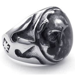 Behendig Ontwerp, Delicate Kleuren, Hoogwaardige Titanium Ring